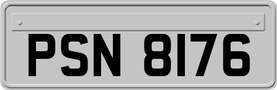 PSN8176