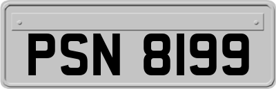 PSN8199