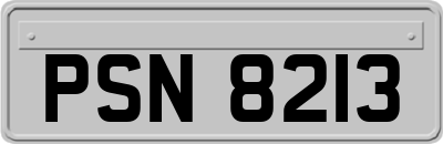 PSN8213