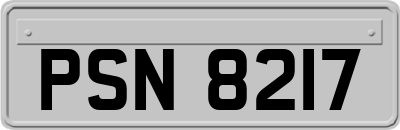 PSN8217