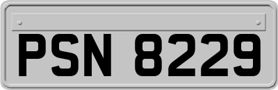 PSN8229