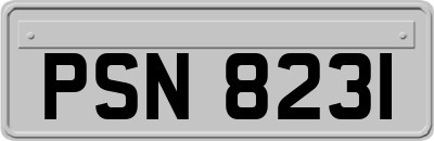 PSN8231