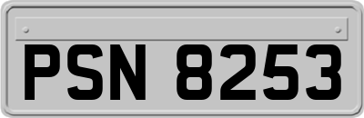PSN8253
