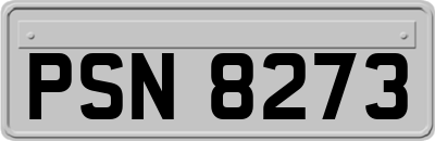 PSN8273