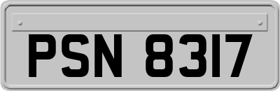 PSN8317