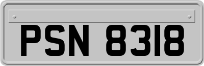 PSN8318