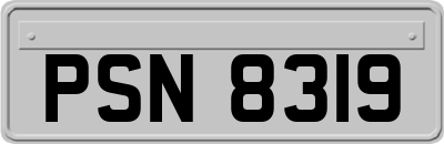 PSN8319