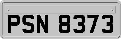 PSN8373