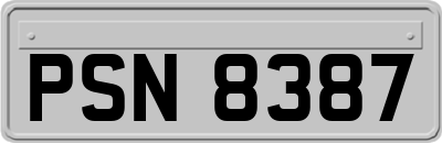 PSN8387