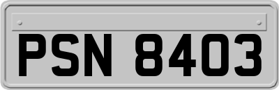 PSN8403