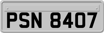 PSN8407