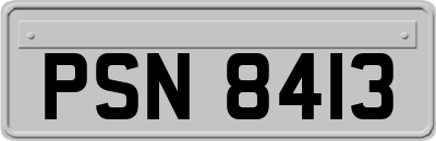 PSN8413