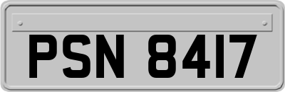 PSN8417