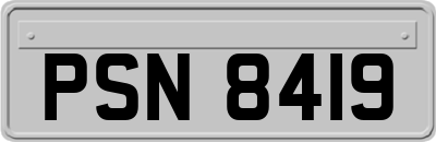 PSN8419