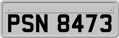 PSN8473