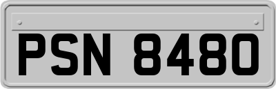 PSN8480
