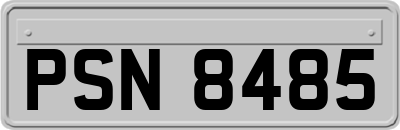PSN8485