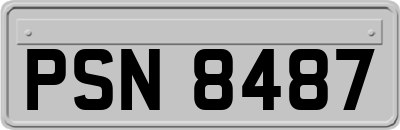 PSN8487
