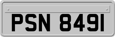 PSN8491