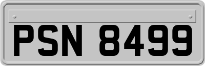 PSN8499
