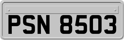 PSN8503