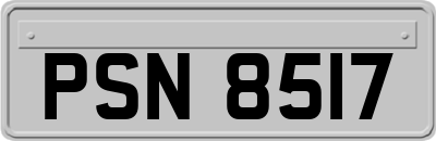 PSN8517