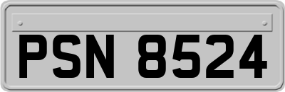 PSN8524
