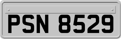 PSN8529