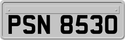 PSN8530