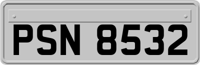 PSN8532