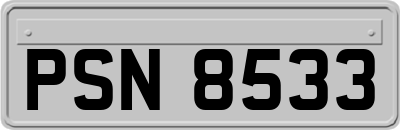 PSN8533