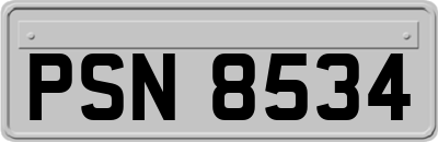 PSN8534