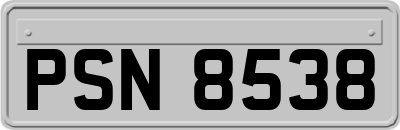 PSN8538