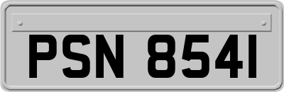 PSN8541
