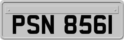 PSN8561