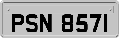 PSN8571