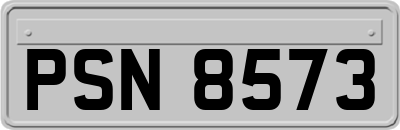 PSN8573