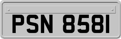 PSN8581