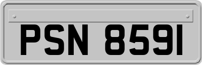 PSN8591