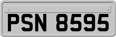 PSN8595