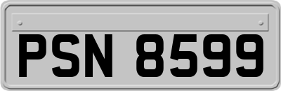 PSN8599