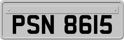 PSN8615