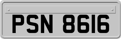 PSN8616