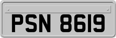 PSN8619
