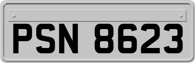 PSN8623