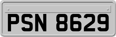 PSN8629