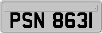 PSN8631