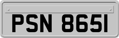 PSN8651