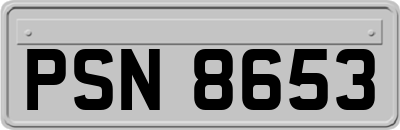 PSN8653