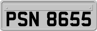 PSN8655